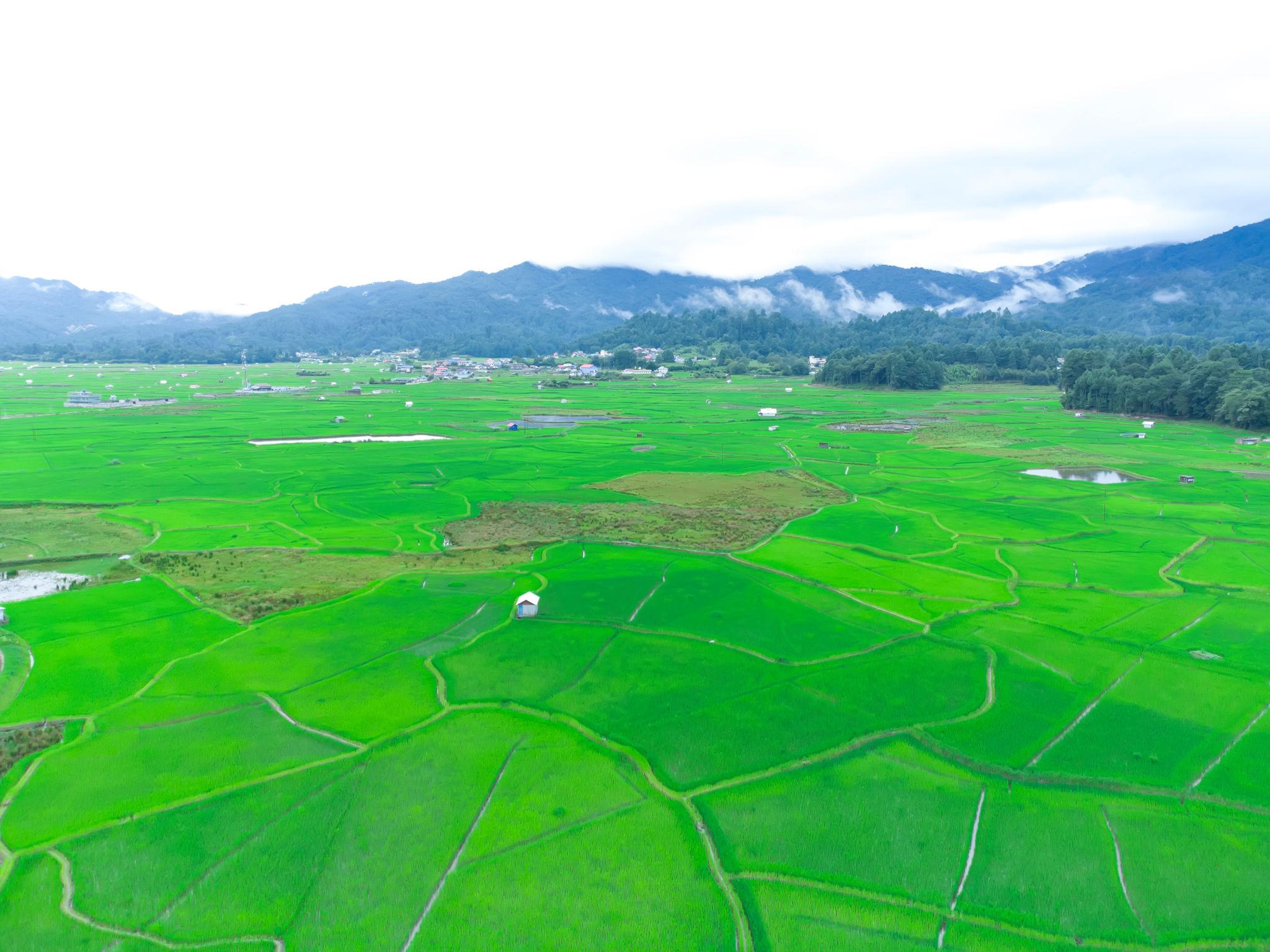 Ziro