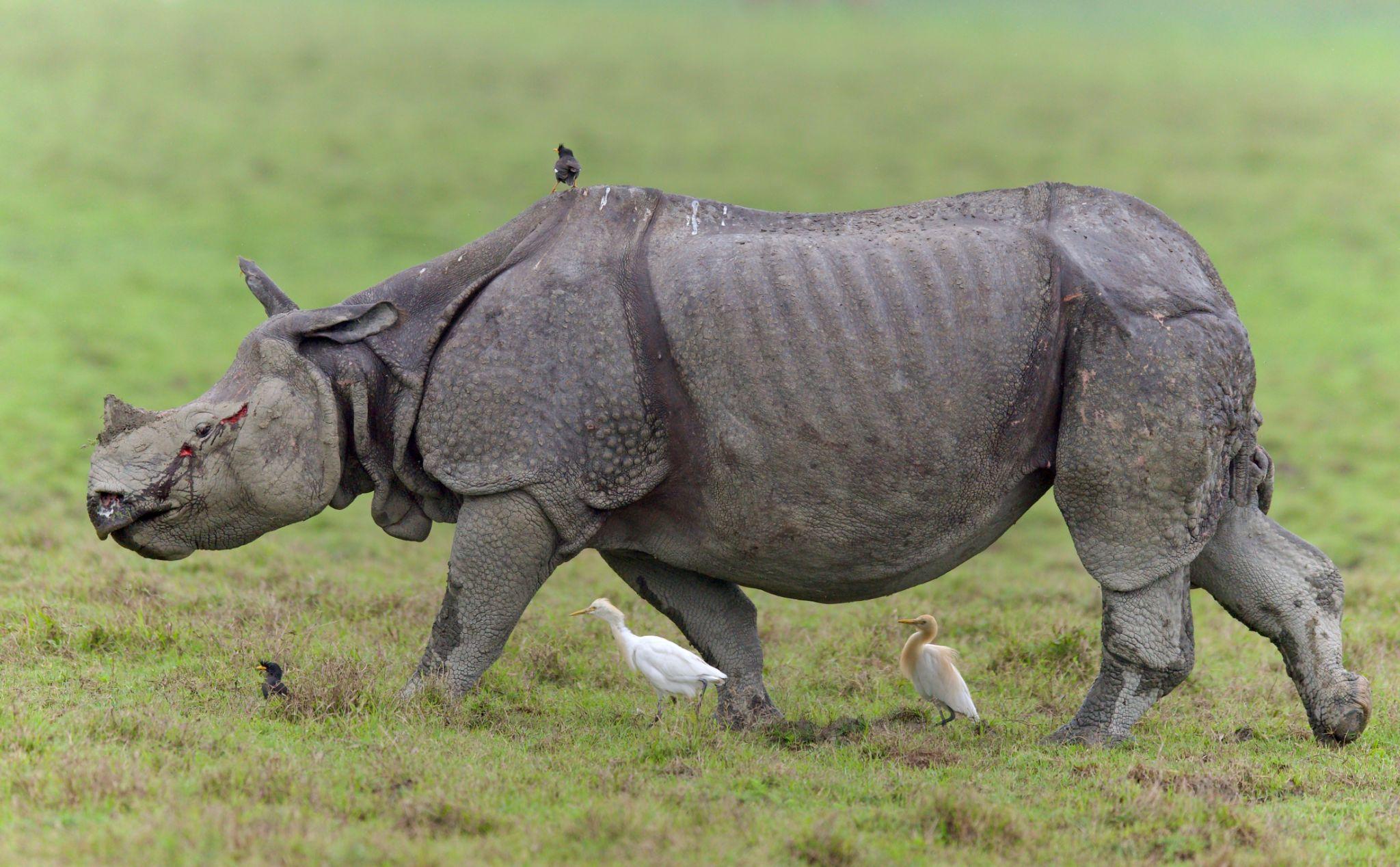 Arunachal Pradesh Tour Package 7N 8D - Image 1